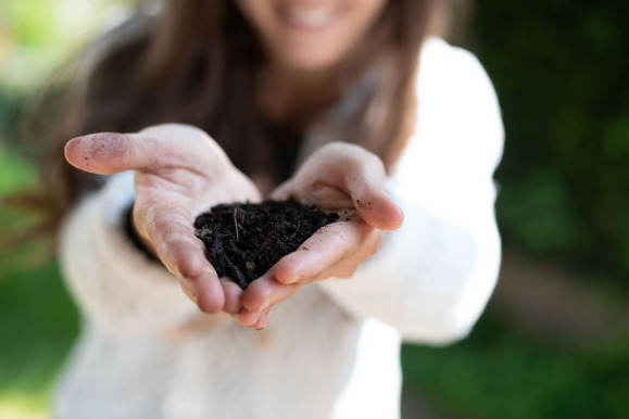 organic compost soil garden
